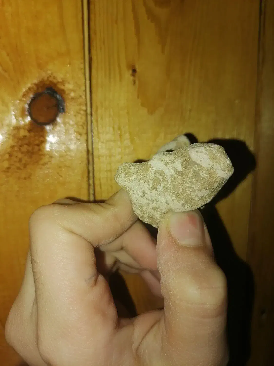 سنگ های فسیل وعجیب|کلکسیون و سرگرمی|آزادشهر, |دیوار