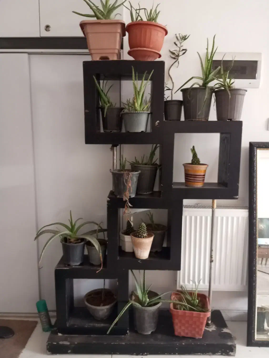 اثاث منزل|حراج|شیراز, گویم|دیوار