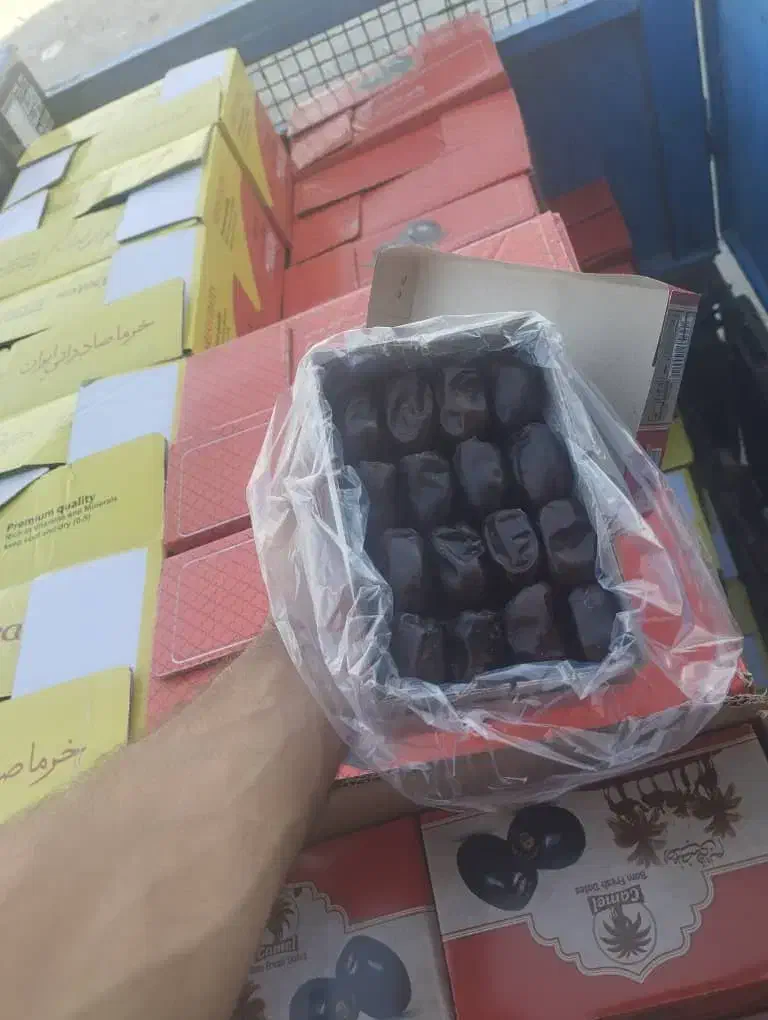 همکاری برا  خرید وفروش خرما|خوردنی و آشامیدنی|عنبرآباد, |دیوار