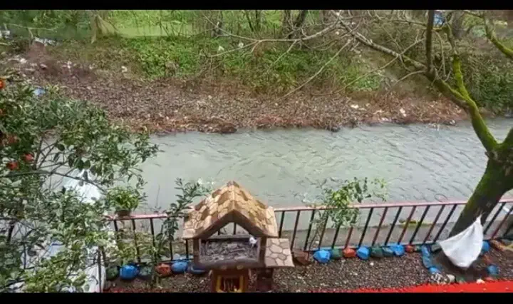 سوییت تو روستا لب رودخونه|اجارهٔ کوتاه‌مدت آپارتمان و سوئیت|املش, |دیوار