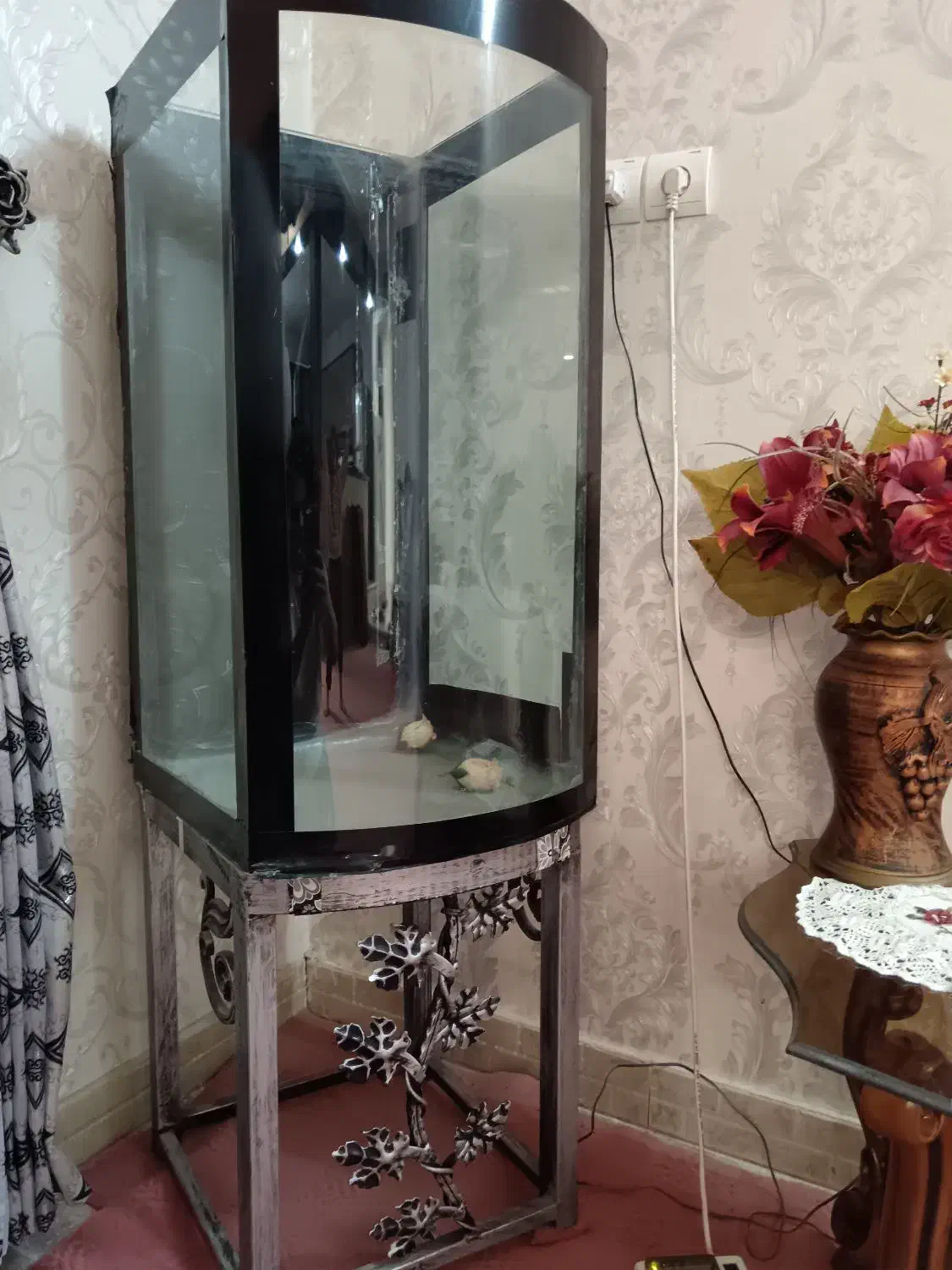 آکواریوم|ماهی|سبزوار, توحیدشهر|دیوار