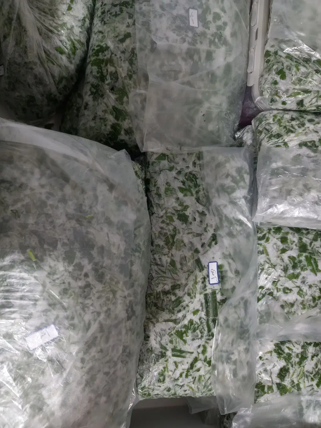 سبزی خورشتی رامهرمز|خوردنی و آشامیدنی|اهواز, کوی آغاجاری|دیوار