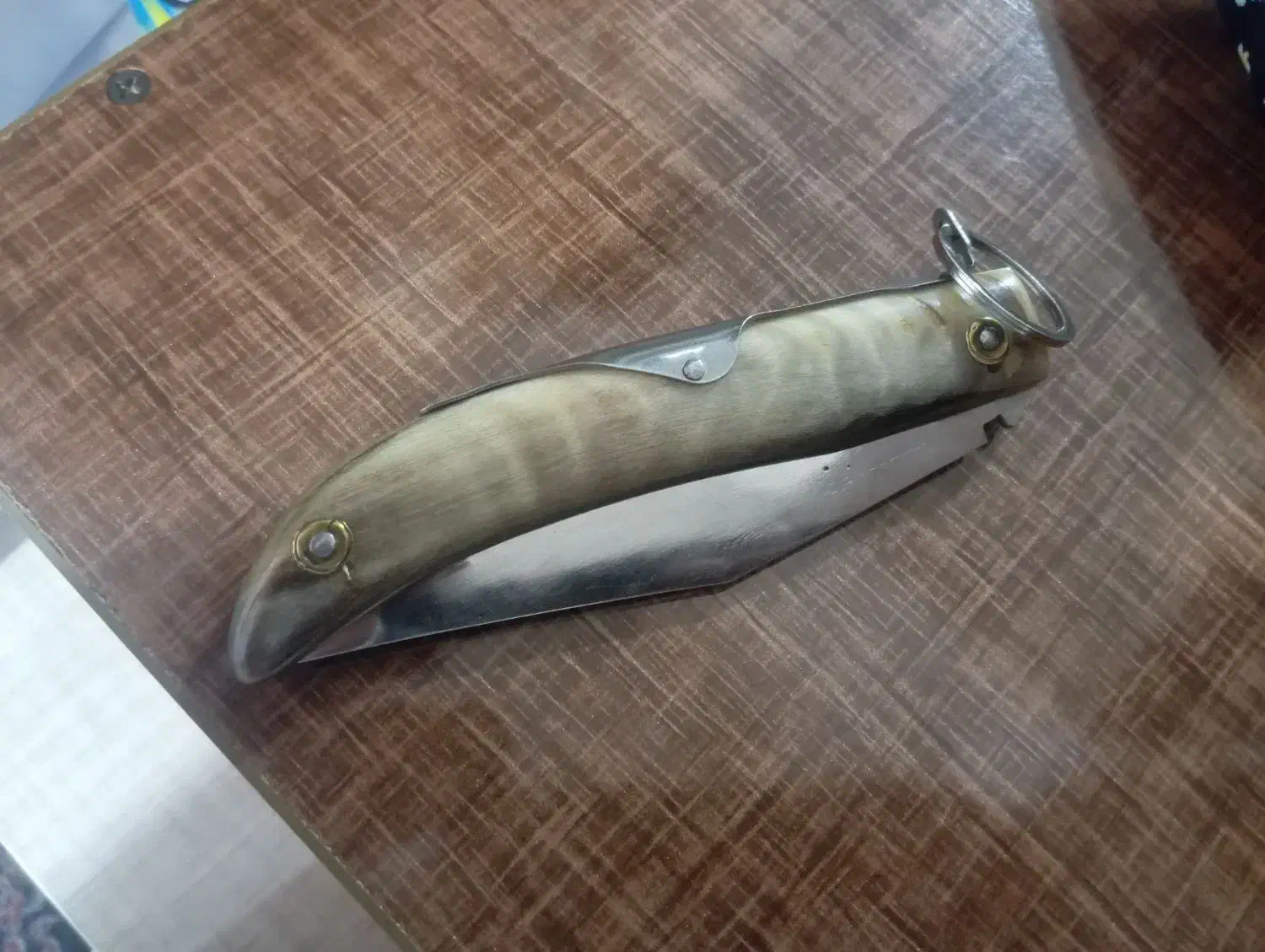 فروش چاقوی دسته شاخ|کوهنوردی و کمپینگ|بوکان, |دیوار