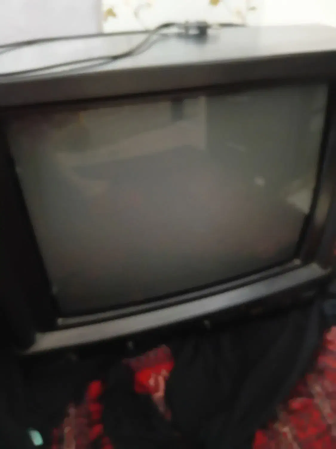 تلویزیون|تلویزیون و پروژکتور|گلبهار, شهر جدید گلبهار|دیوار