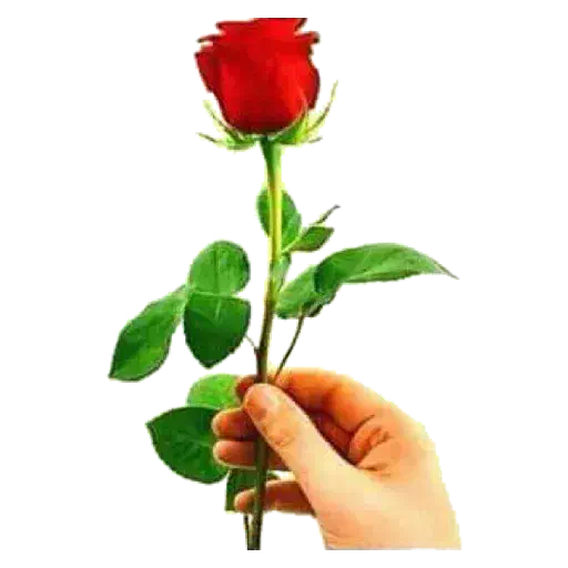 فروش یا معاوضه زمین|فروش زمین و ملک کلنگی|لنده, |دیوار