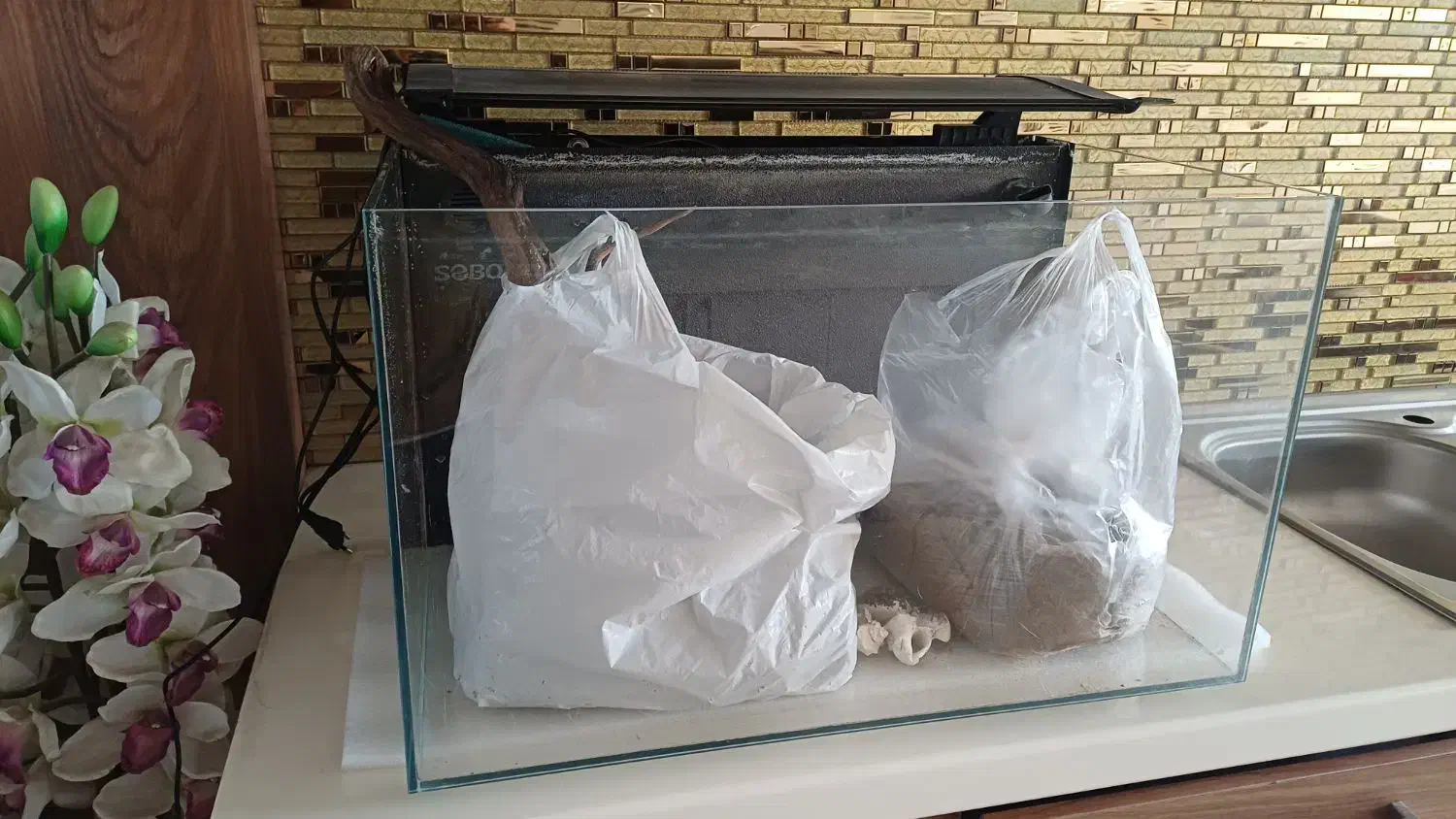 آکواریوم با تمام لوازم|لوازم جانبی حیوانات|رشت, جانبازان|دیوار