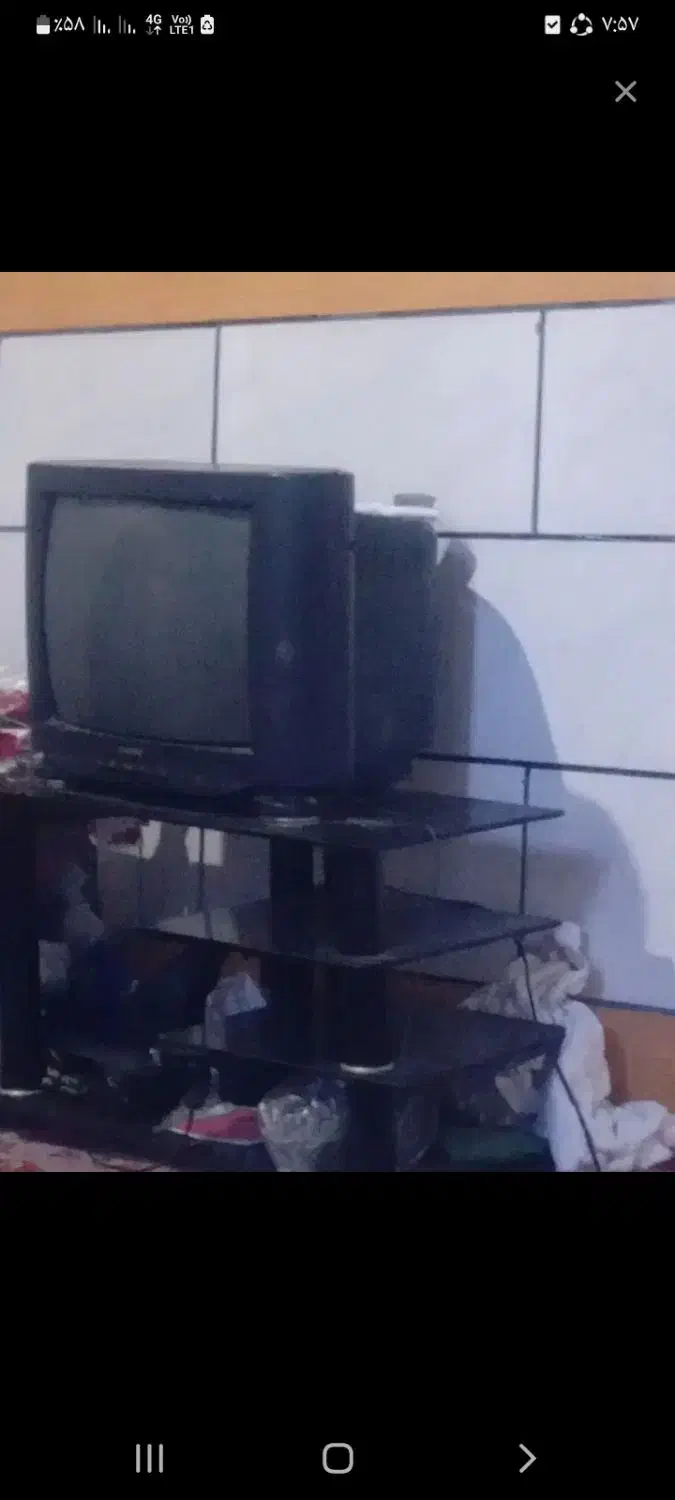 تلویزیون سالم|تلویزیون و پروژکتور|کهنوج, |دیوار