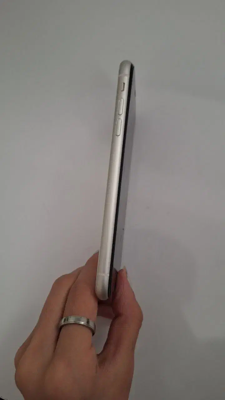 iPhone 11|موبایل|شیراز, شهرک فرزانگان|دیوار
