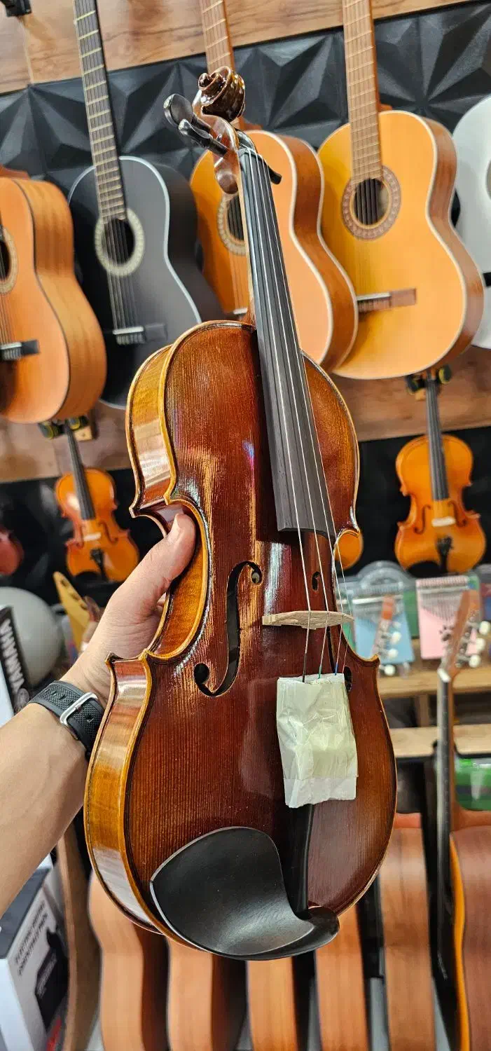 ویولن تی‌اف 00800|ویولن|محمدیه-قزوین, |دیوار