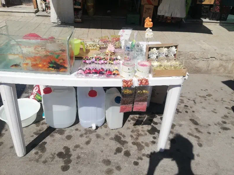 ماهی گلی|ماهی|شیراز, شهرک بهار|دیوار