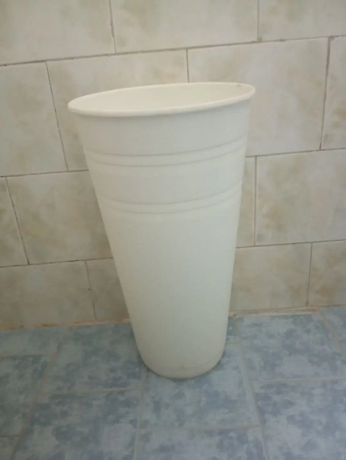 گلدان سایز بزرگ|گل و گیاه طبیعی|بندر امام خمینی, |دیوار