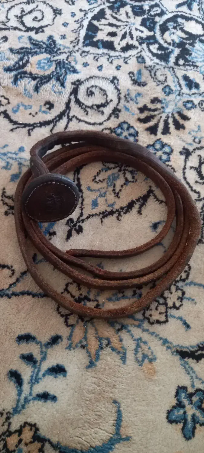 شلاق اسب سواری|اسب و تجهیزات اسب‌سواری|شیراز, شهرک قمشه|دیوار