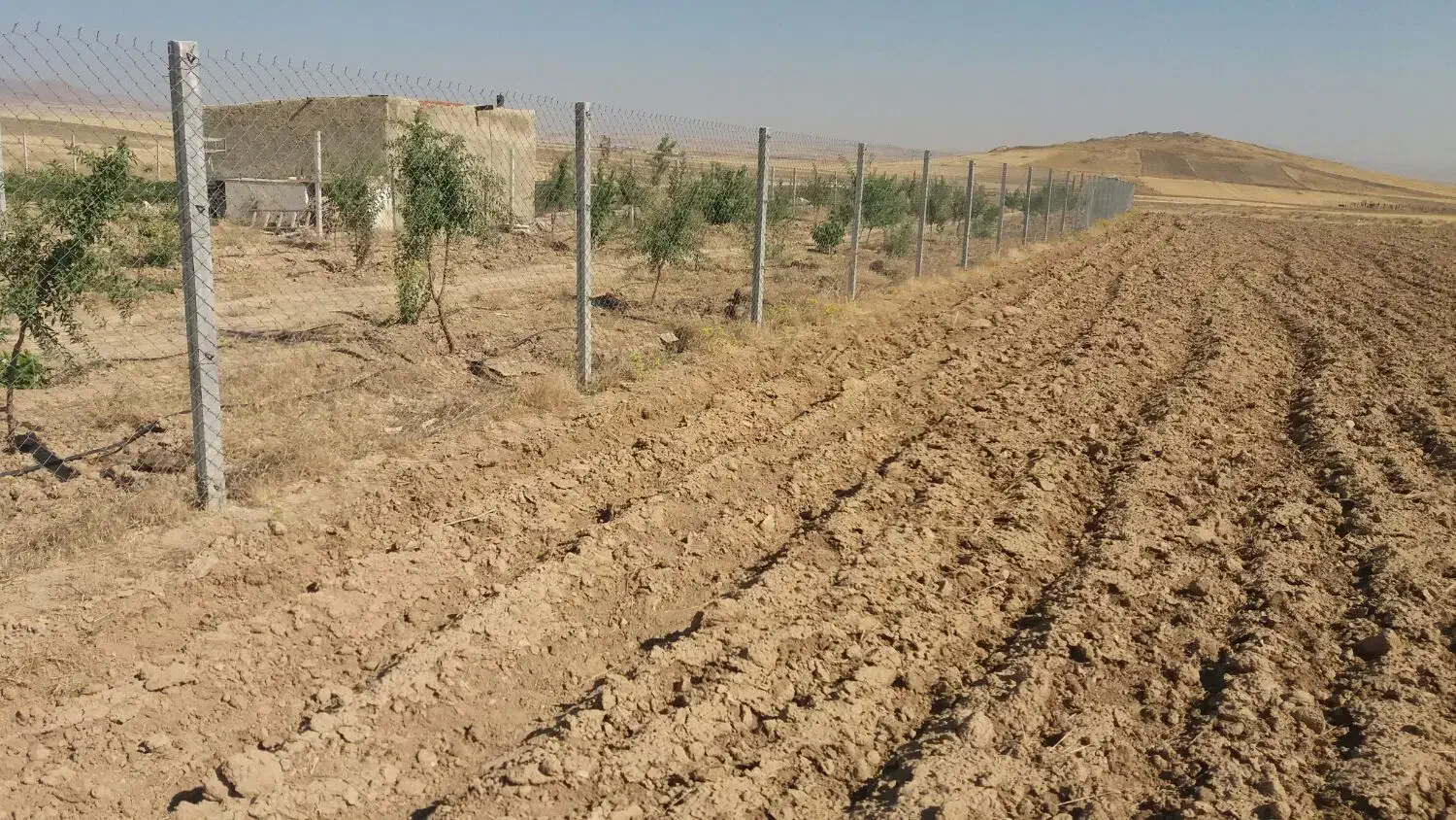 ۲۰۰۰ متر زمین برای کاشتن نهال وباغ|فروش زمین و ملک کلنگی|همدان, |دیوار