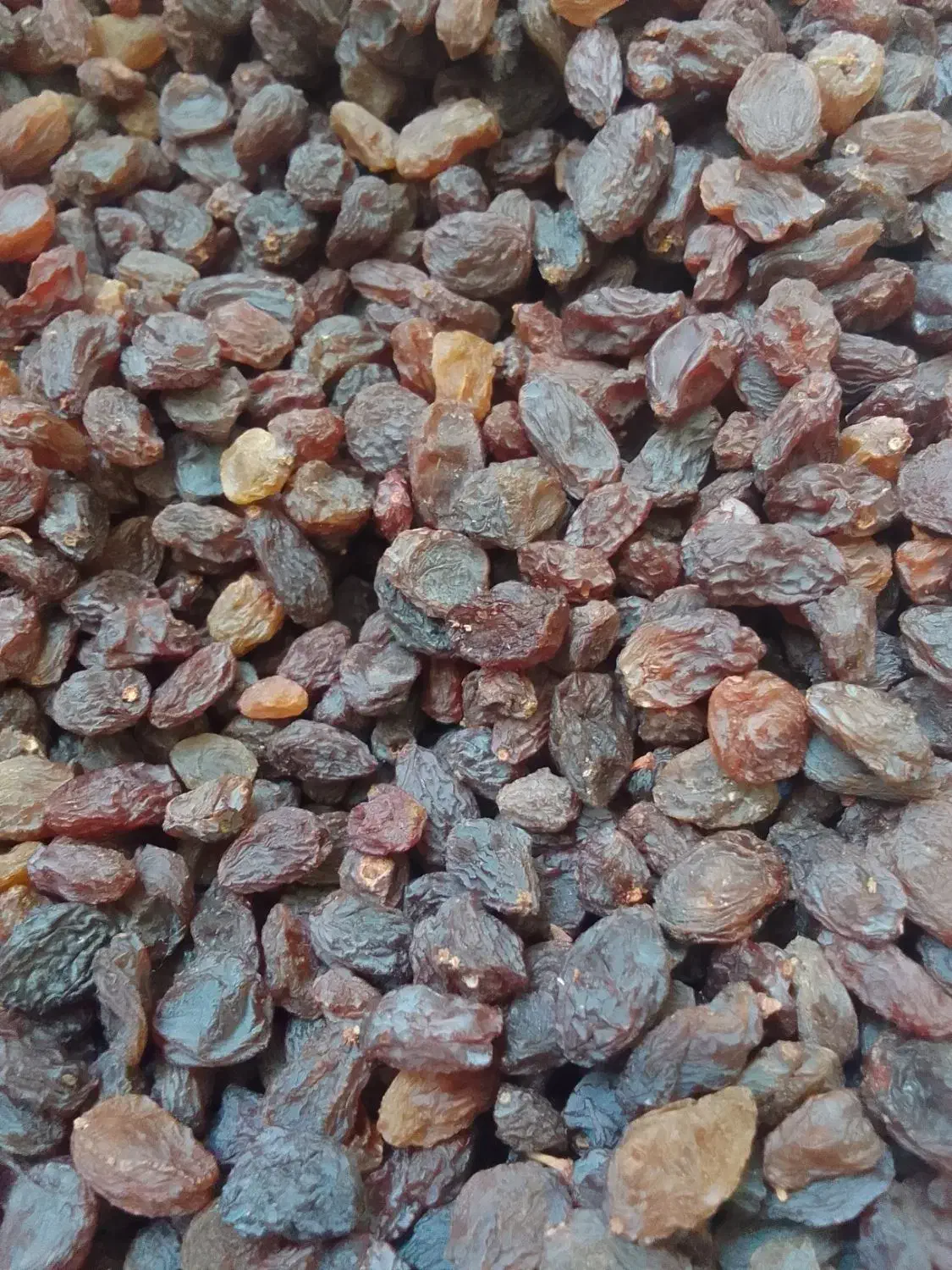 کشمش بیدانه آفتابی تاکستان تمیز(فقط آبگیری دارم )|خوردنی و آشامیدنی|تهران, شهرک ولیعصر شمالی|دیوار