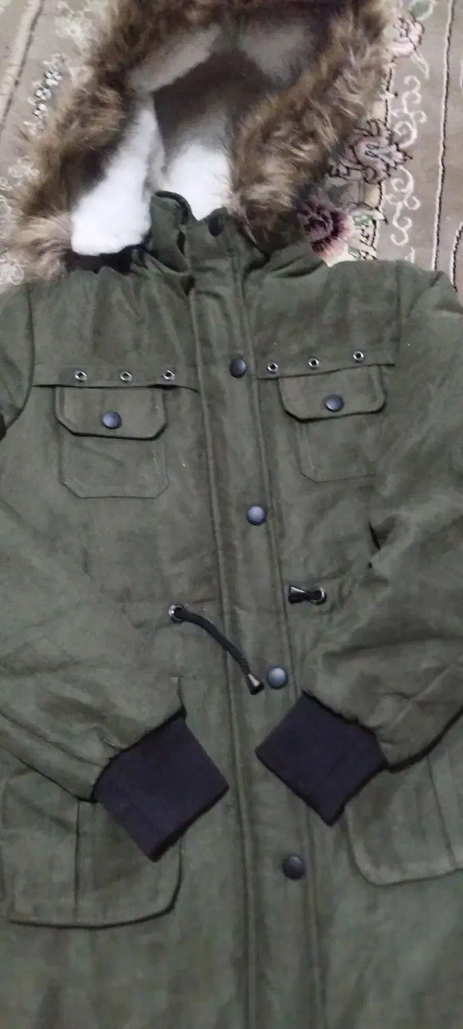 کاپشن زنانه داخل پز|لباس|باقرشهر, |دیوار