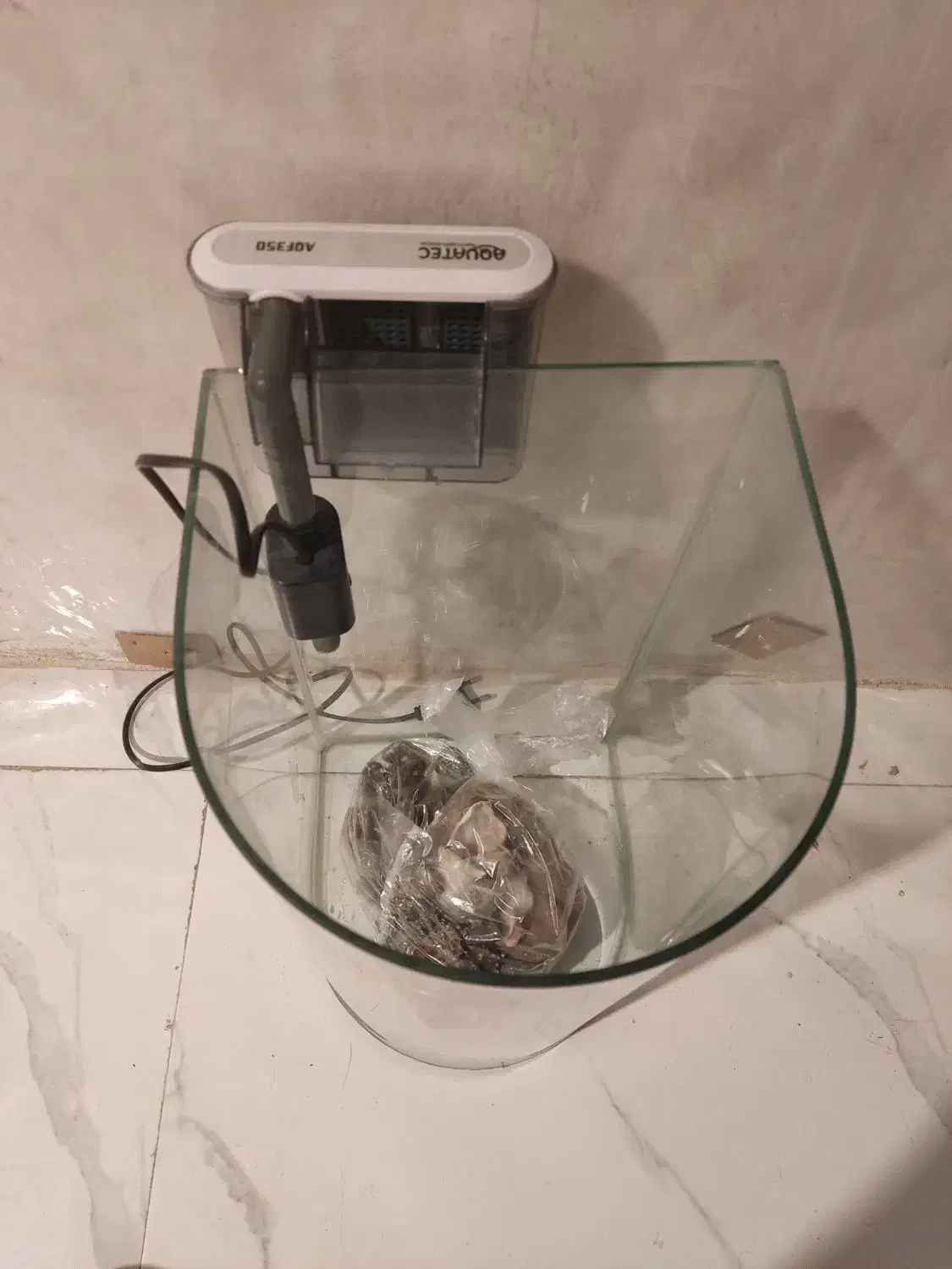 آکواریوم ماهی و لوازم|ماهی|کرج, کوی امامیه|دیوار