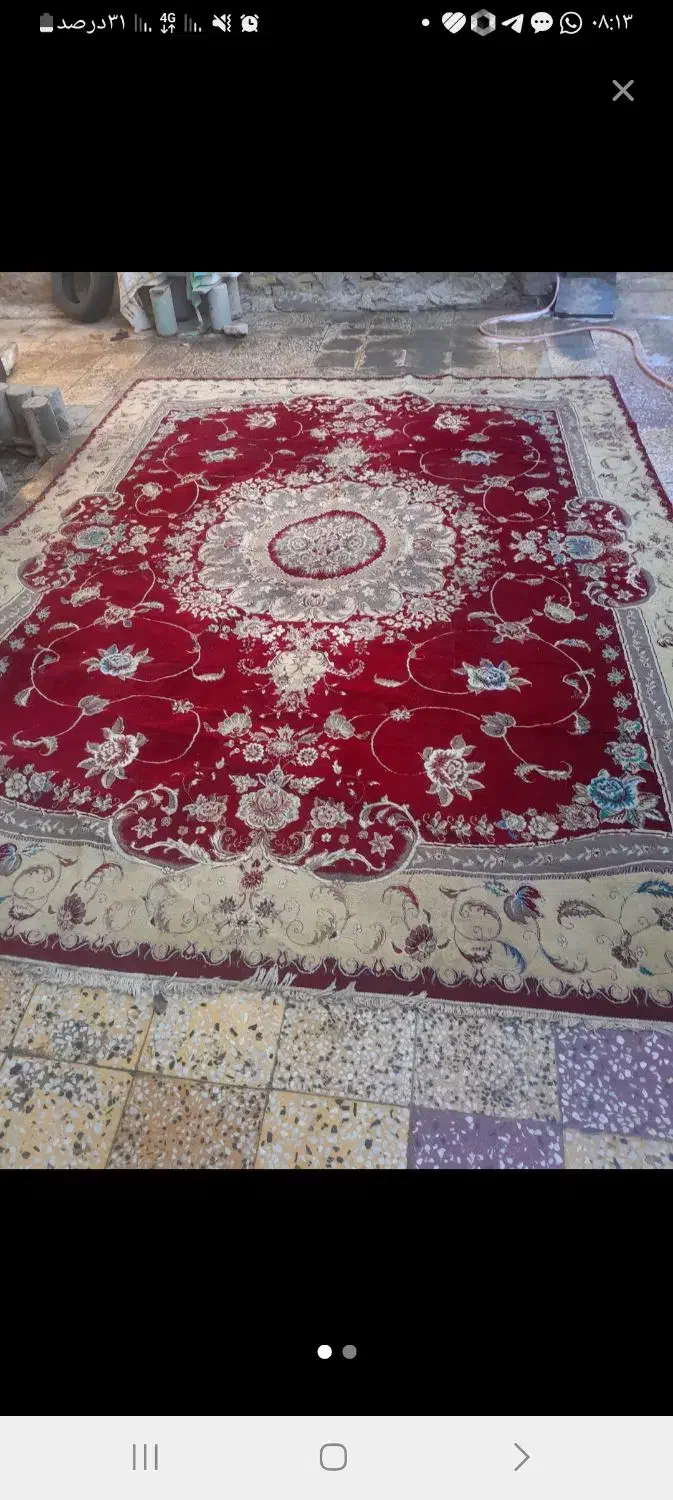 قالی ۱۲ متری|فرش|باوی, |دیوار