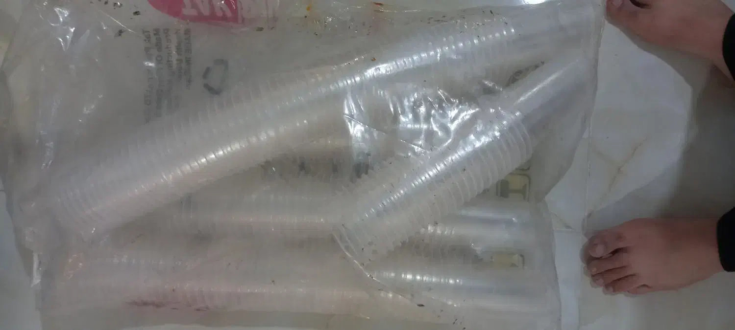 لوازم کافی شاپ|ظروف نگهدارنده، پلاستیکی، یک‌بارمصرف|نیشابور, هفده شهریور|دیوار