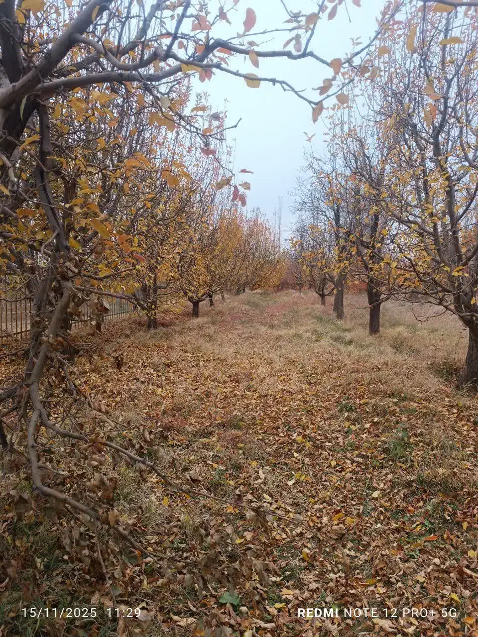 باغ|فروش خانه و ویلا|مرند, |دیوار