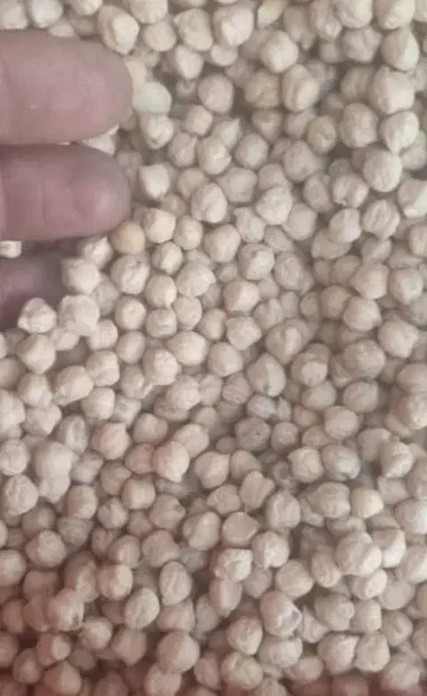 پخش عمده حبوبات به تمام نقاط استان و شهرستان|عمدهفروشی|شیراز, سعدیه جنوبی|دیوار