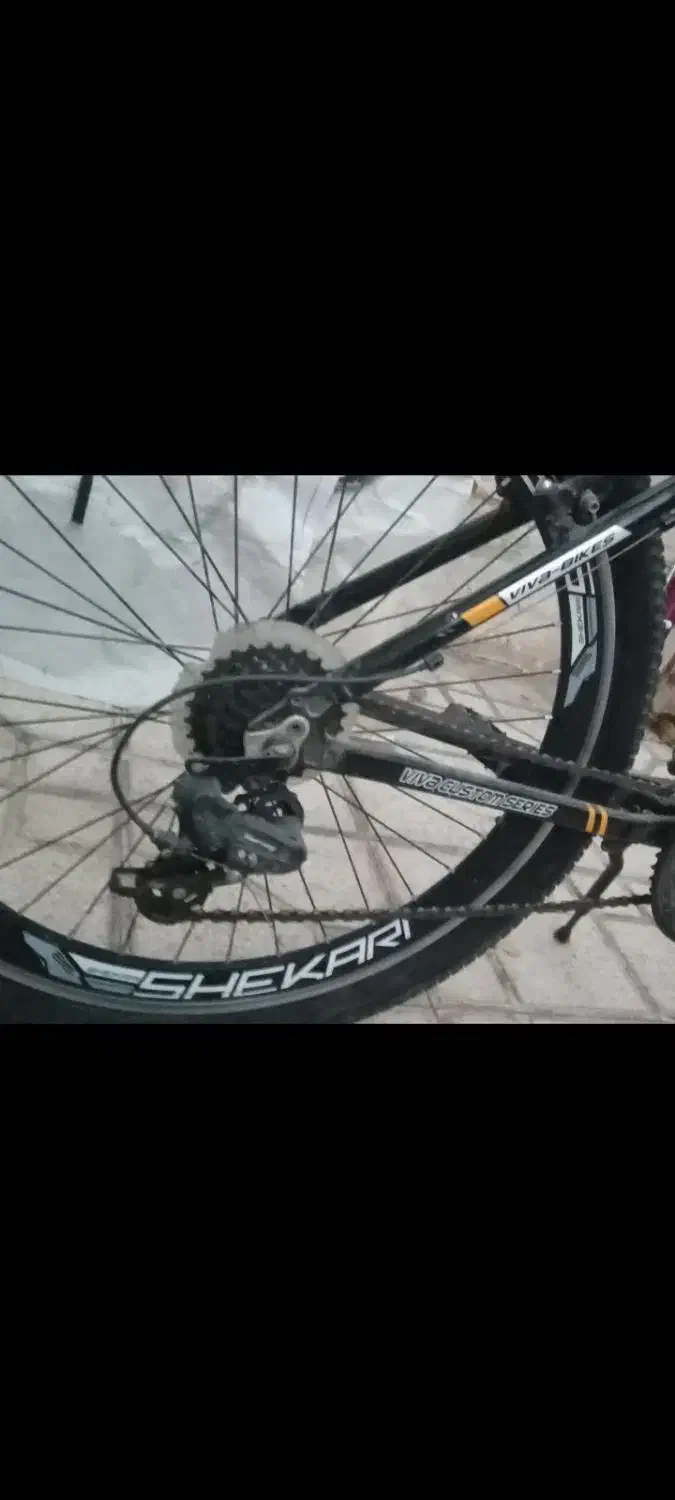 دوچرخه ۲۶ ویوا اصل ویتنام|دوچرخه، اسکیت، اسکوتر|صدرا-فارس, فاز ۲|دیوار