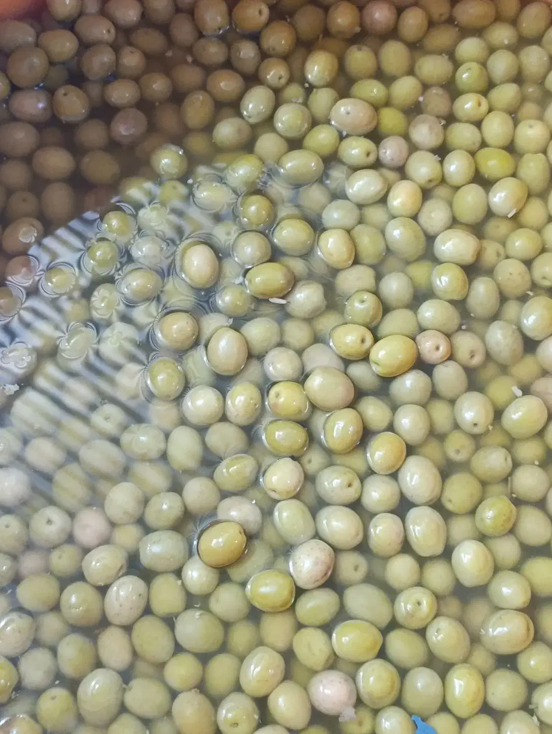 زیتون کنسروی امساله طارم(اعلاء)|خوردنی و آشامیدنی|طارم, |دیوار