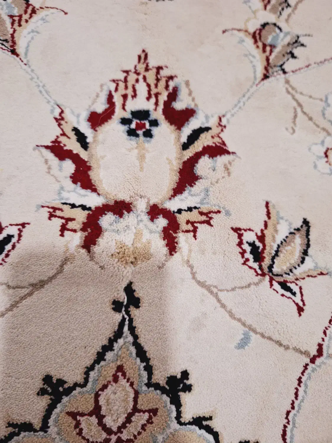 فرش 12 متری|فرش|کرمانشاه, |دیوار