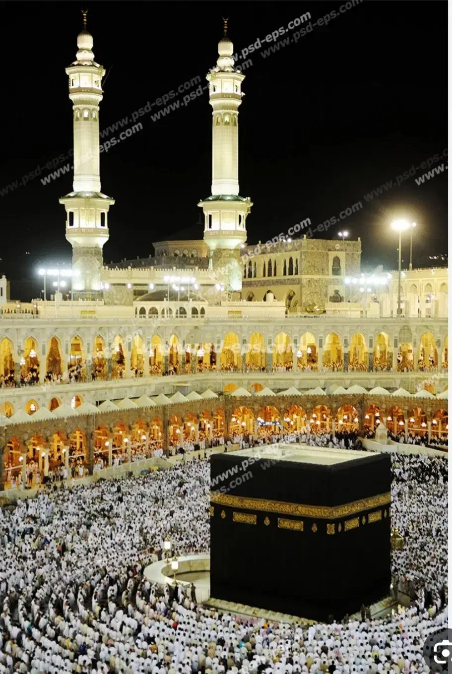 فیش حج|تور و چارتر|مبارکه, |دیوار