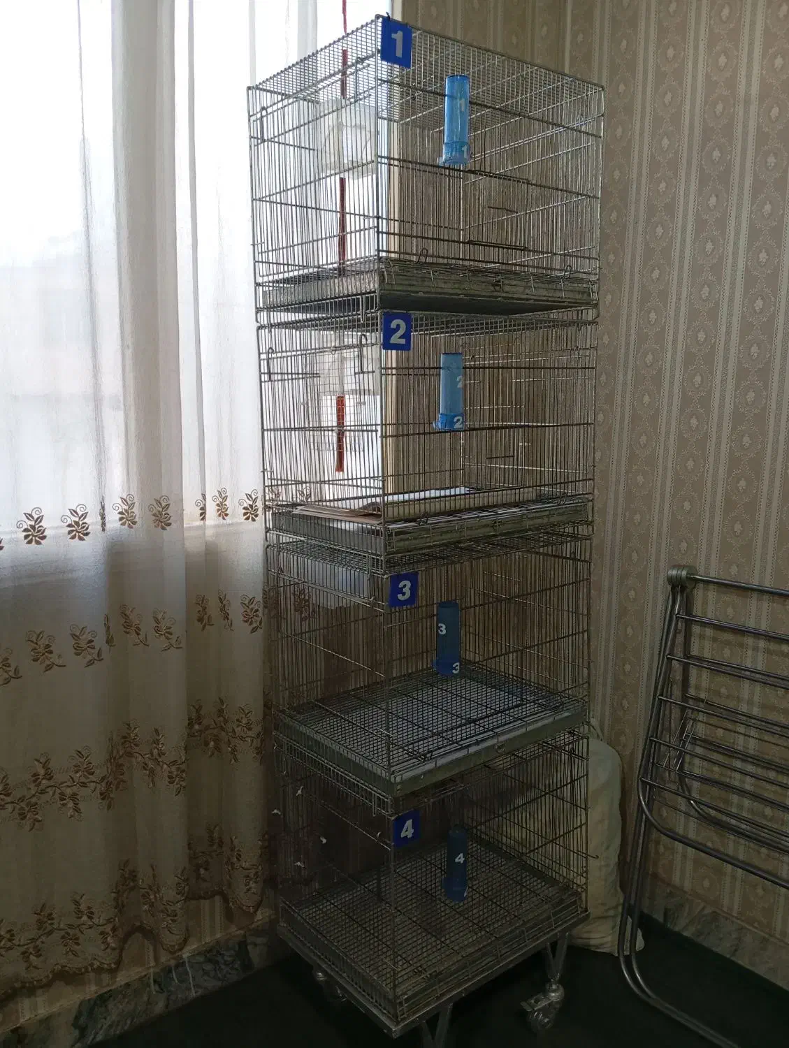 قفس 4خان قدیم ومحکم 4500مقطوع|لوازم جانبی حیوانات|پاکدشت, پاکدشت (مامازند)|دیوار