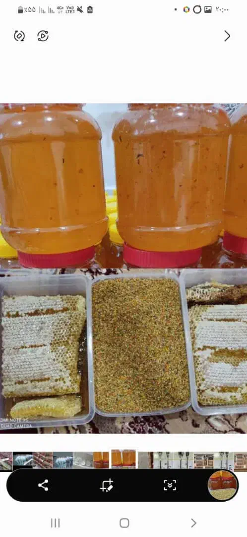 عسل صدرصد طبیعی سبلان|خوردنی و آشامیدنی|تهران, شوش (باغ آذری)|دیوار