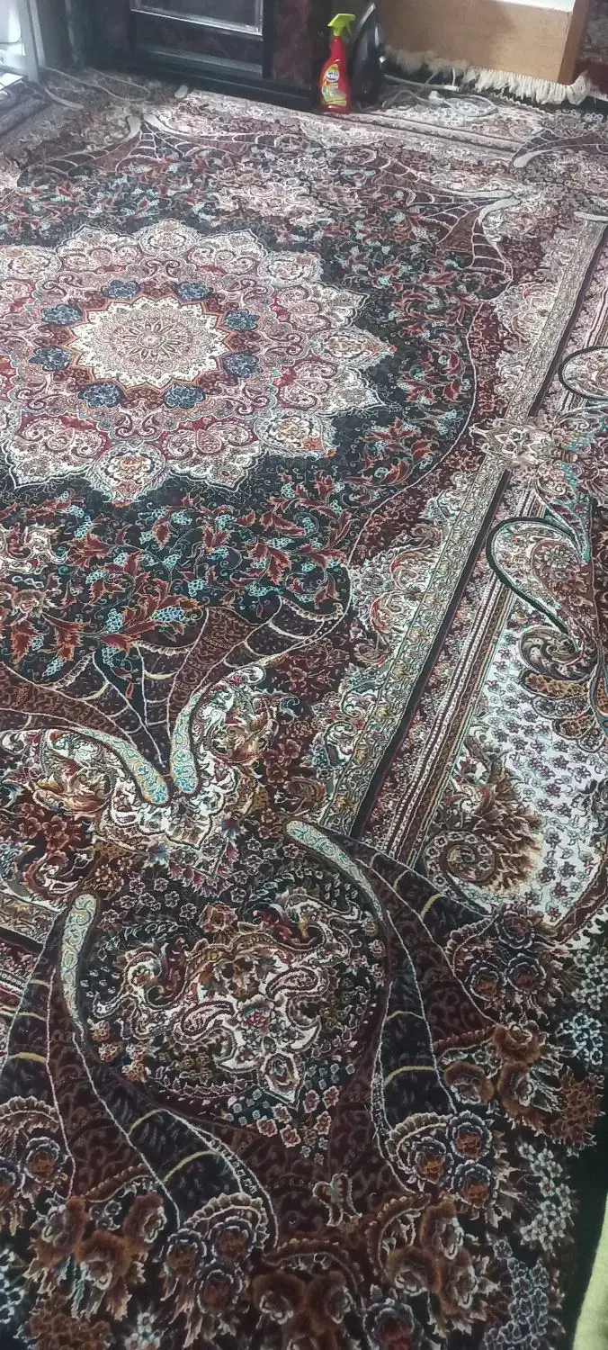 فرش ۱۲ متری و۶متری|فرش|کوه چنار, |دیوار