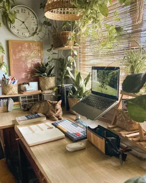 پاس شدن امتحانات پیام نور|خدمات آموزشی|اردبیل, |دیوار