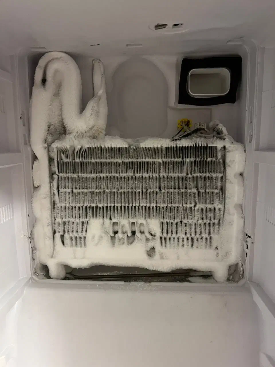 تعمیر/ شارژ گاز انواع کولر گازی یخچال در محل|خدمات پیشه و مهارت|قشم, |دیوار