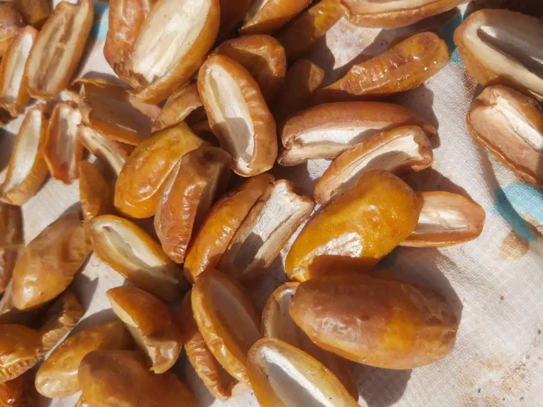 خرما فشرده مضافتی (جاهین )کپک مضافتی زردان|خوردنی و آشامیدنی|سراوان, |دیوار