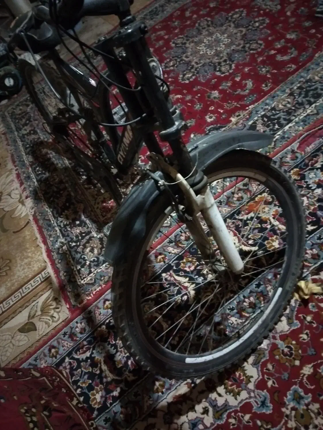 دوچرخه ۲۶|دوچرخه، اسکیت، اسکوتر|اسفرورین, |دیوار