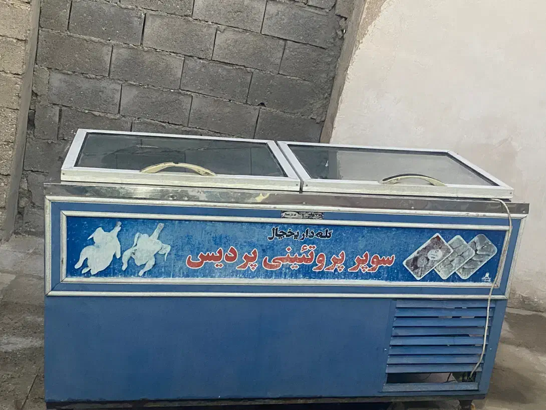 فریزر ۵۰۰کیلویی استیل|یخچال و فریزر|لامرد, |دیوار