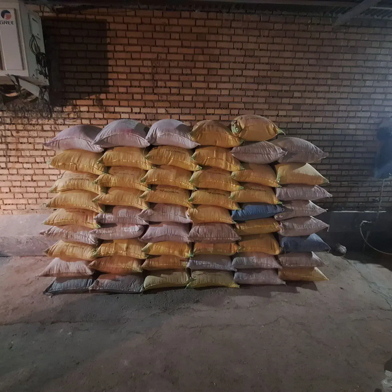 بذرگندم دیم پایا|خدمات باغبانی و درختکاری|گنبد کاووس, |دیوار