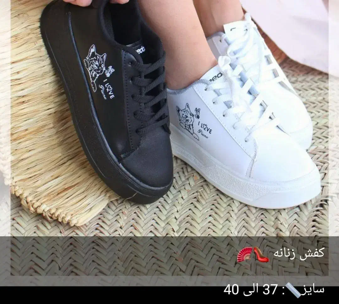 کفش اسپرت و مجلسی|کیف، کفش، کمربند|یاسوج, |دیوار