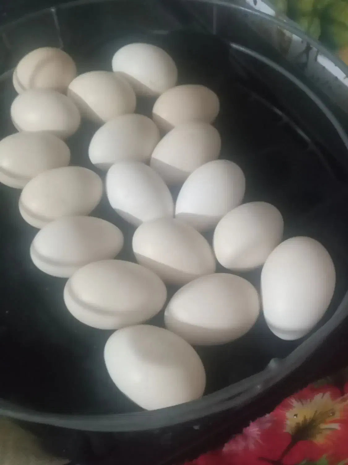 تخم مرغ گلین اصل تازه|خوردنی و آشامیدنی|کهنوج, |دیوار