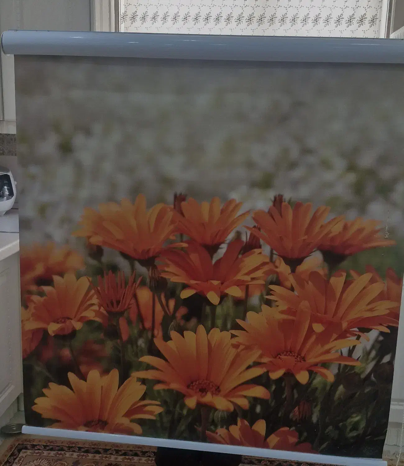 پرده|پرده، رانر، رومیزی|تهران, امام حسین|دیوار