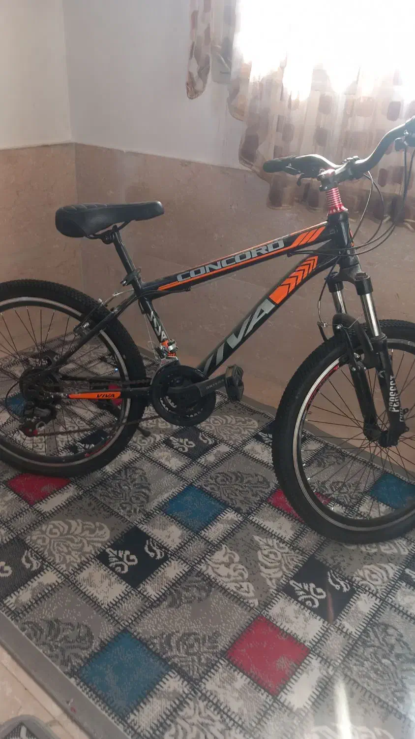 دوچرخه ۲۴ ویوا|دوچرخه، اسکیت، اسکوتر|رباط‌کریم, نصیرشهر|دیوار