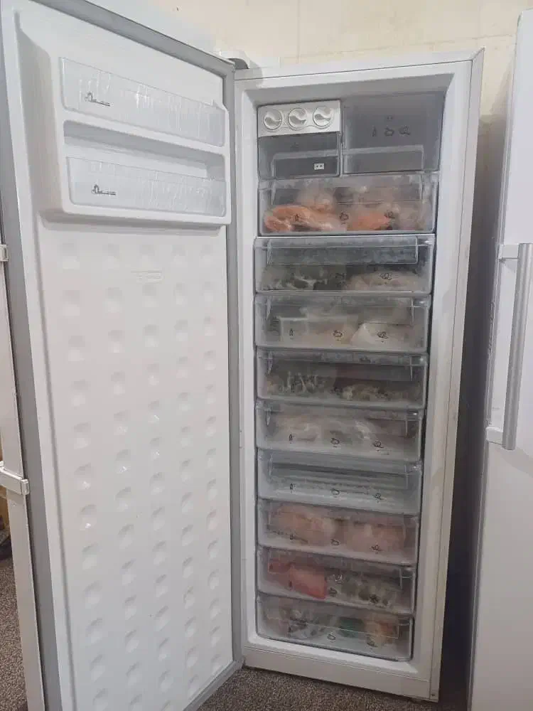 فروش یخچال و فریزر|یخچال و فریزر|اهواز, رسالت|دیوار