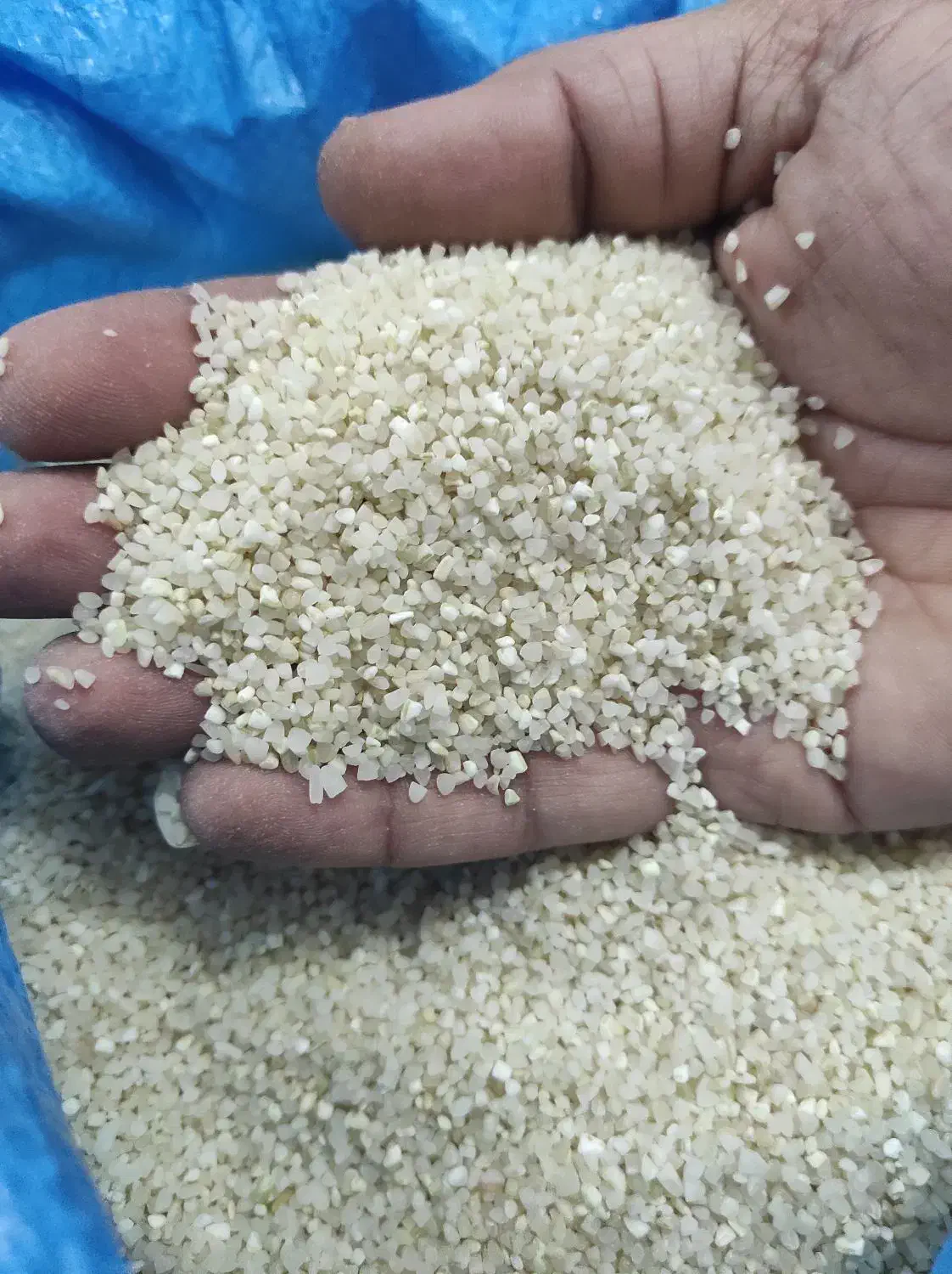 برنج عنبربو خوزستان|خوردنی و آشامیدنی|آران و بیدگل, |دیوار