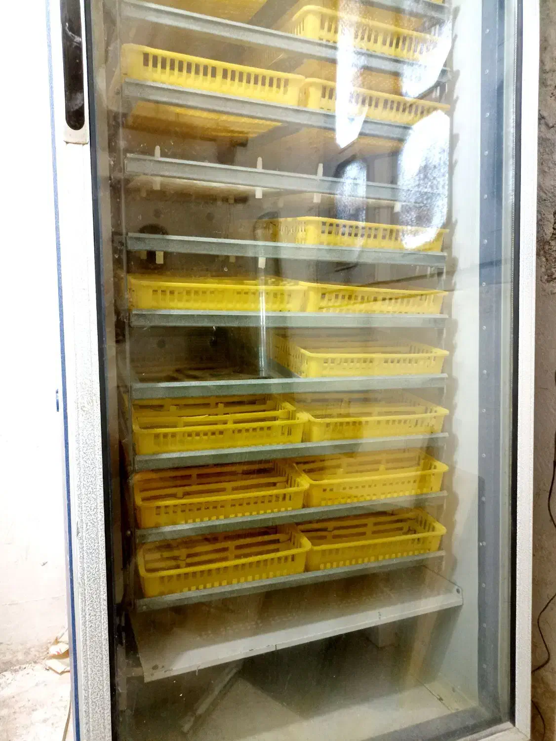 دستگاه جوجه کشی 1850تایی|لوازم جانبی حیوانات|قائمشهر, |دیوار