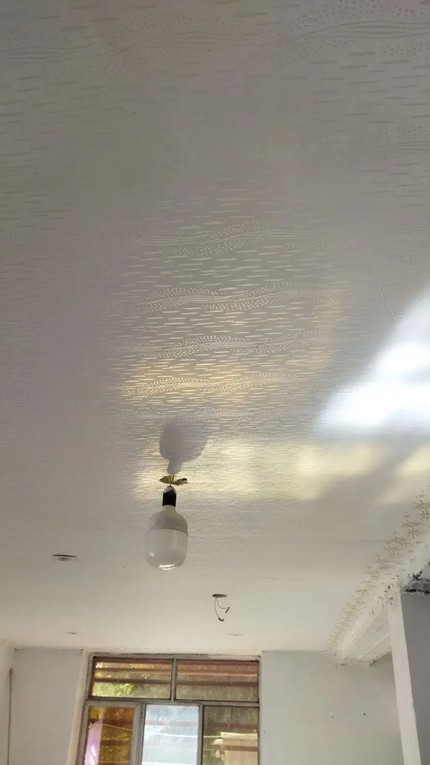 نقاشی ساختمان|خدمات پیشه و مهارت|جیرفت, |دیوار