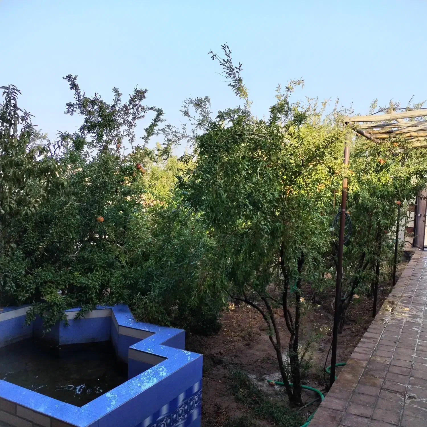 اجاره خانه باغ مهریز|اجارهٔ کوتاهمدت ویلا و باغ|یزد, |دیوار