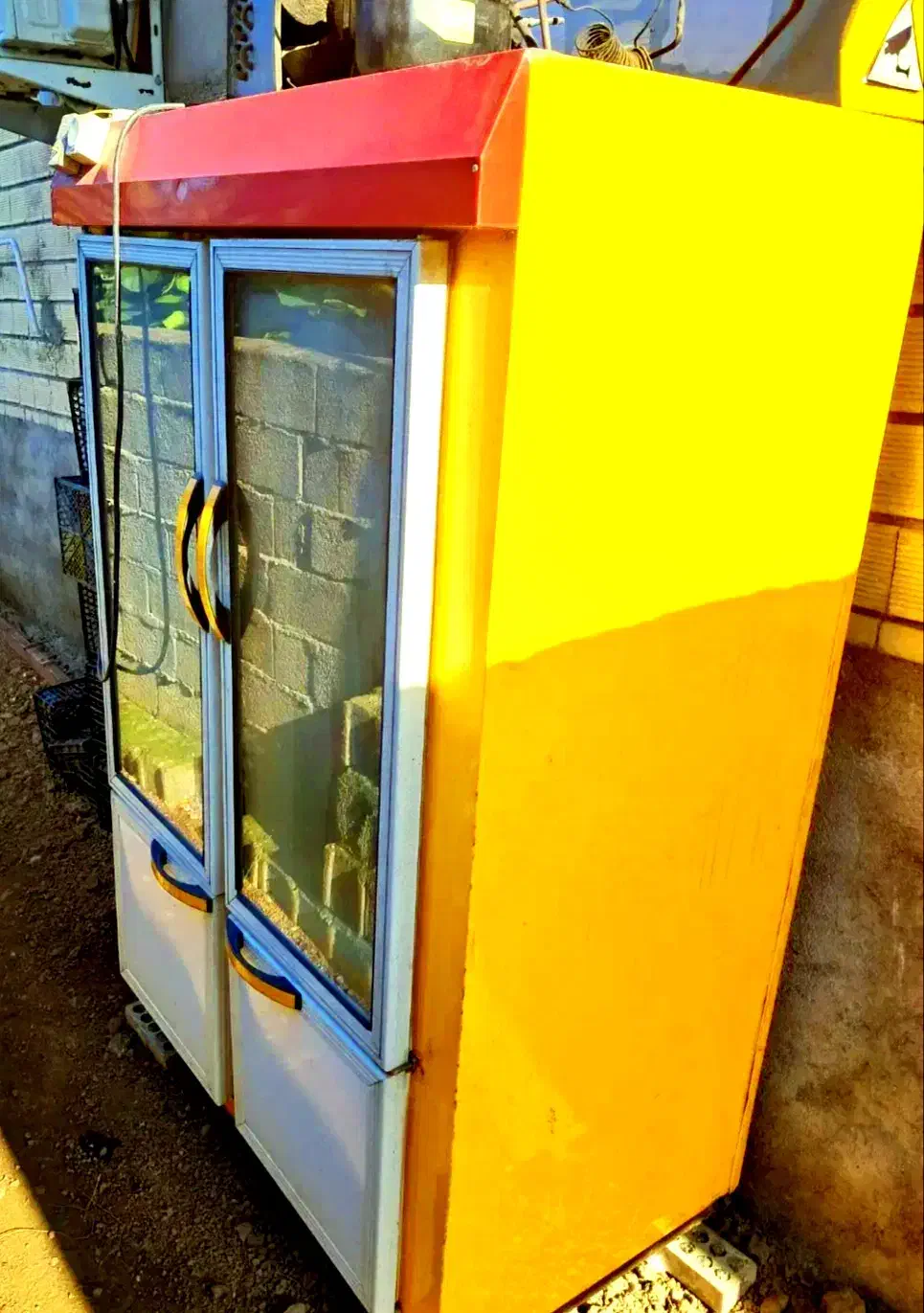 یخچال ویترینی سالم سلامت|فروشگاه و مغازه|لیسار, |دیوار