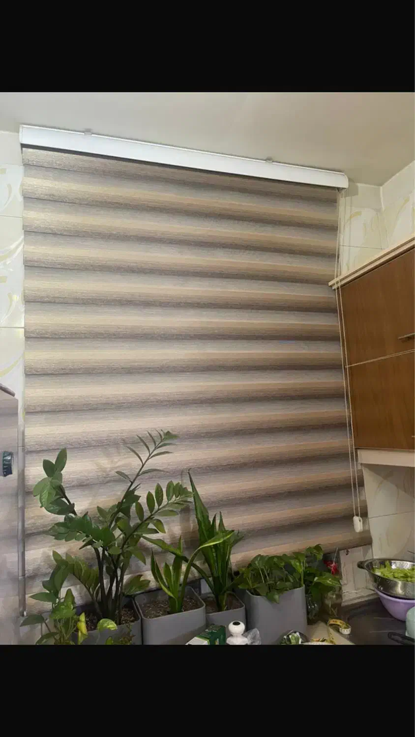 دو عدد پرده زبرا|پرده، رانر، رومیزی|ری, فیروزآبادی|دیوار