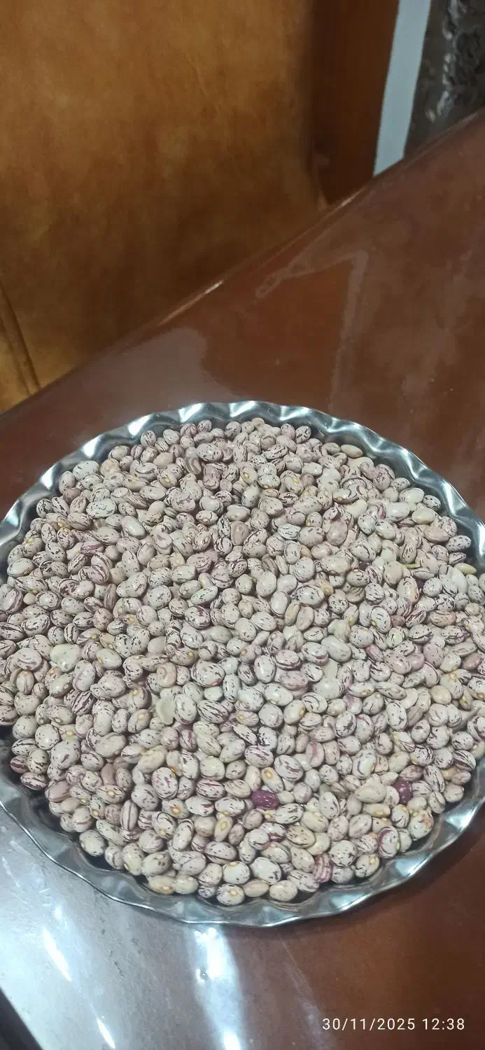 لوبیا چیتی تازه امساله|خوردنی و آشامیدنی|نوشهر, |دیوار