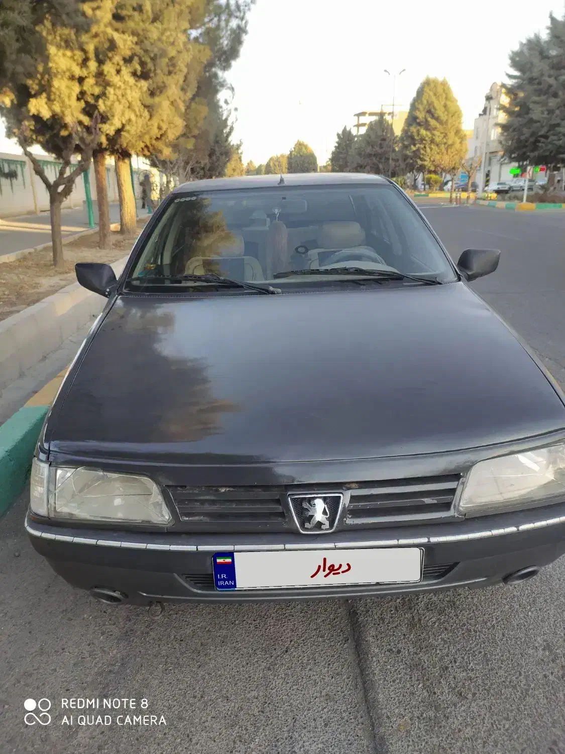 پژو روا|خودرو سواری و وانت|تهران, توحید|دیوار